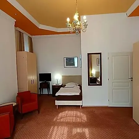 Gato Bozicany Karlovy Vary